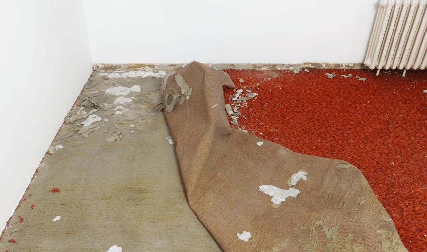 HOWZE Premier Property Cleanouts