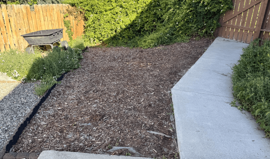 Cleanout Services